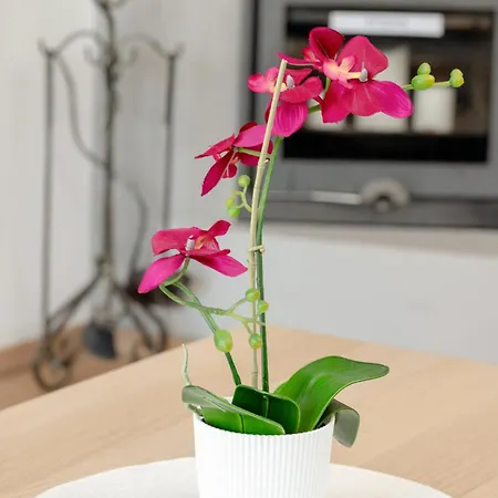 Close To The By Renters *