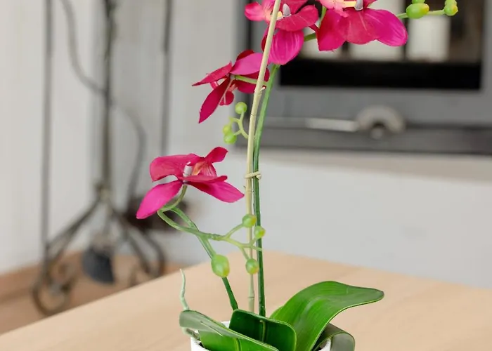 Close To The By Renters *