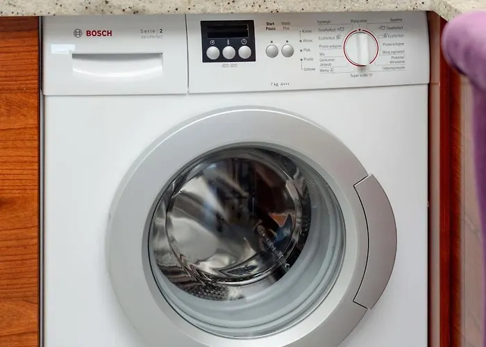 Close To The By Renters *